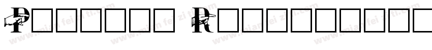Pointer Regular字体转换